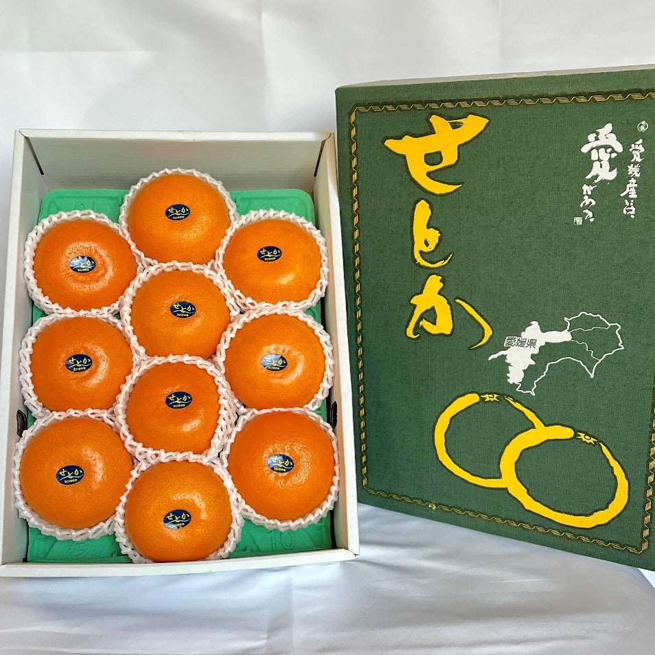 愛媛県産『せとか』10玉〜12玉 – SENMARU FRUITS SELECT | ONLINE STORE