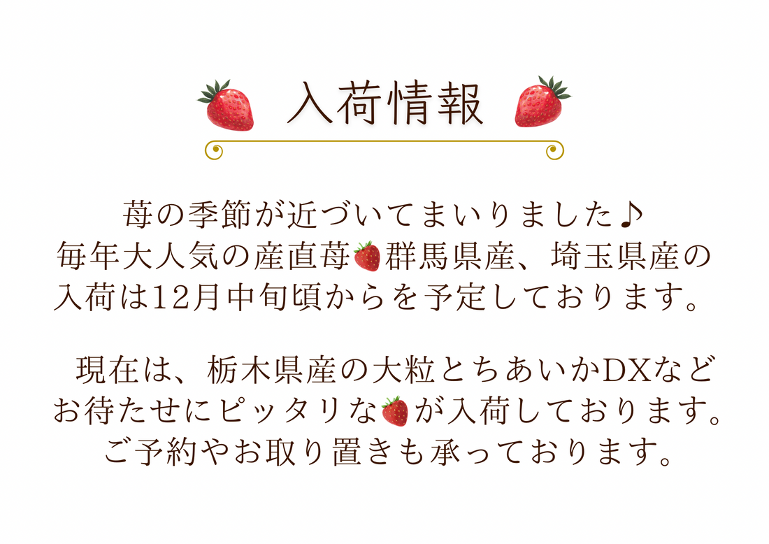 入荷情報①🍓